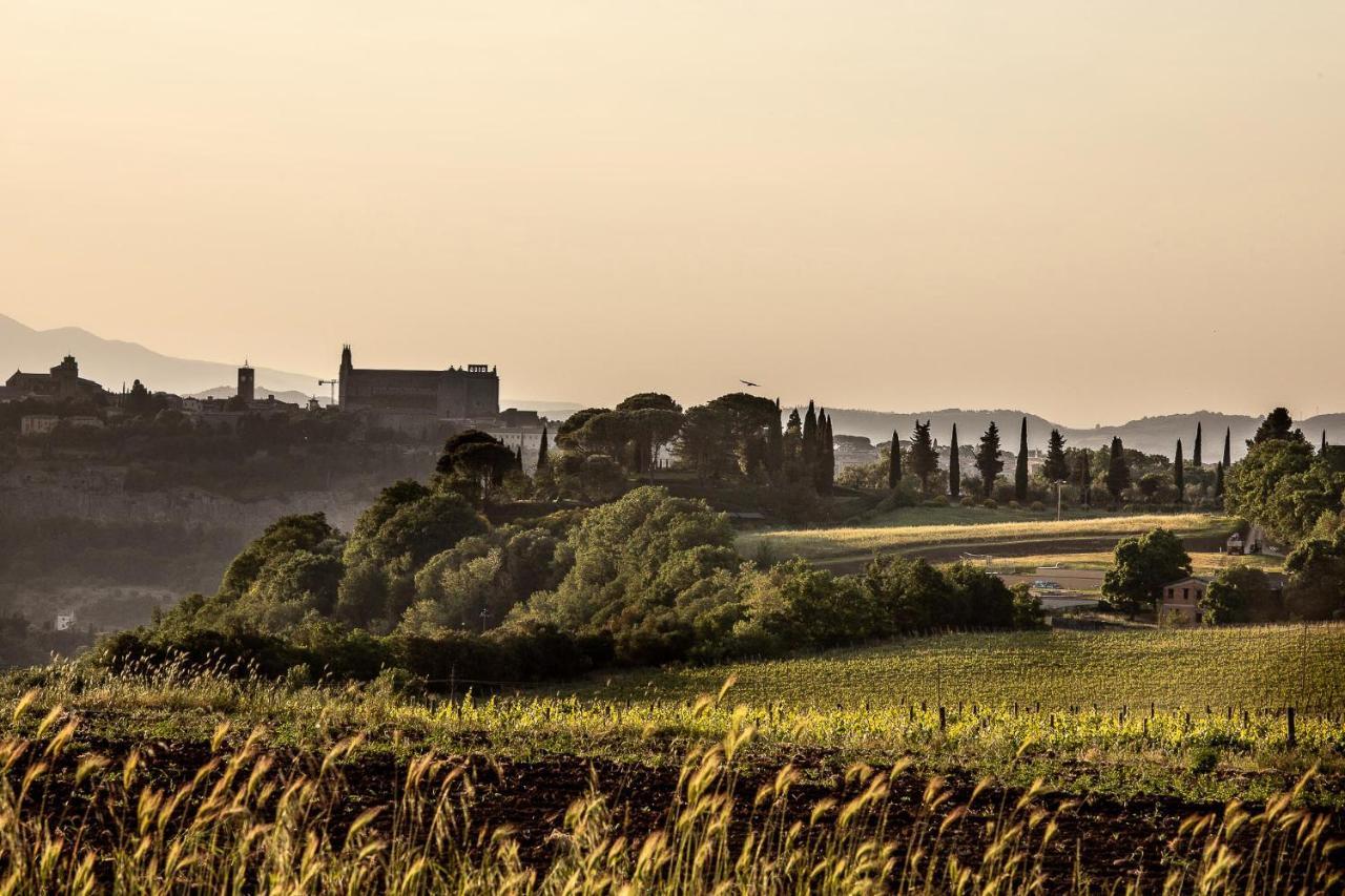 Torre Collevento Luxury Villa Orvieto Exterior foto
